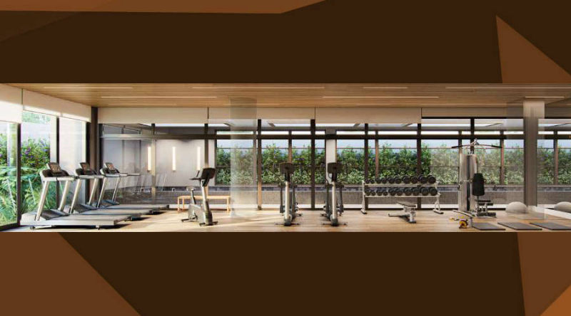 Ibirapuera Park – Fitness